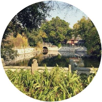 想不想修真官方oppo版下载